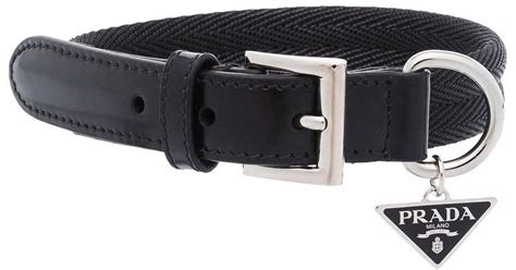 fake prada dog collar|best designer dog collar.